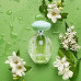 Туалетная вода Perceive Dew для нее, 50 мл